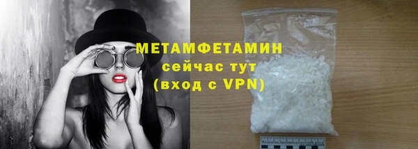 индика Богородск