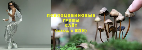 индика Богородск