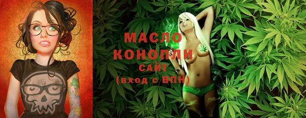индика Богородск