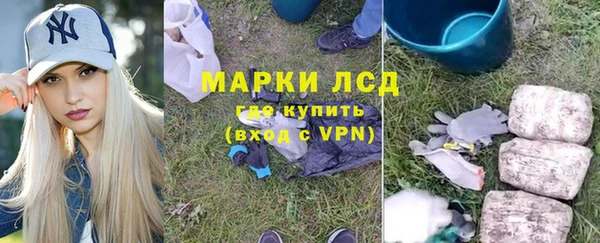 индика Богородск
