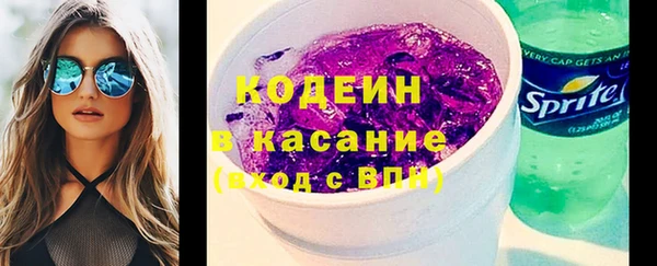 индика Богородск