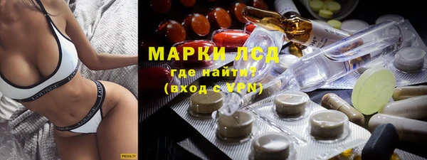 индика Богородск