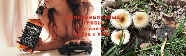 ешки Богданович