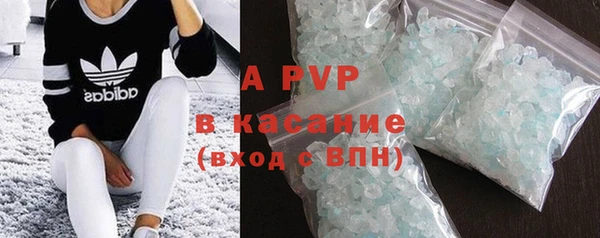 индика Богородск