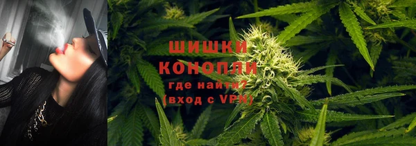 ешки Богданович