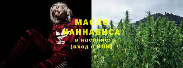 индика Богородск