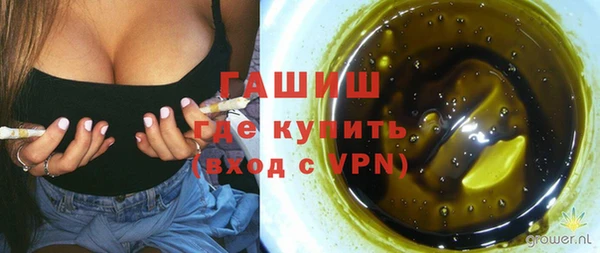 индика Богородск
